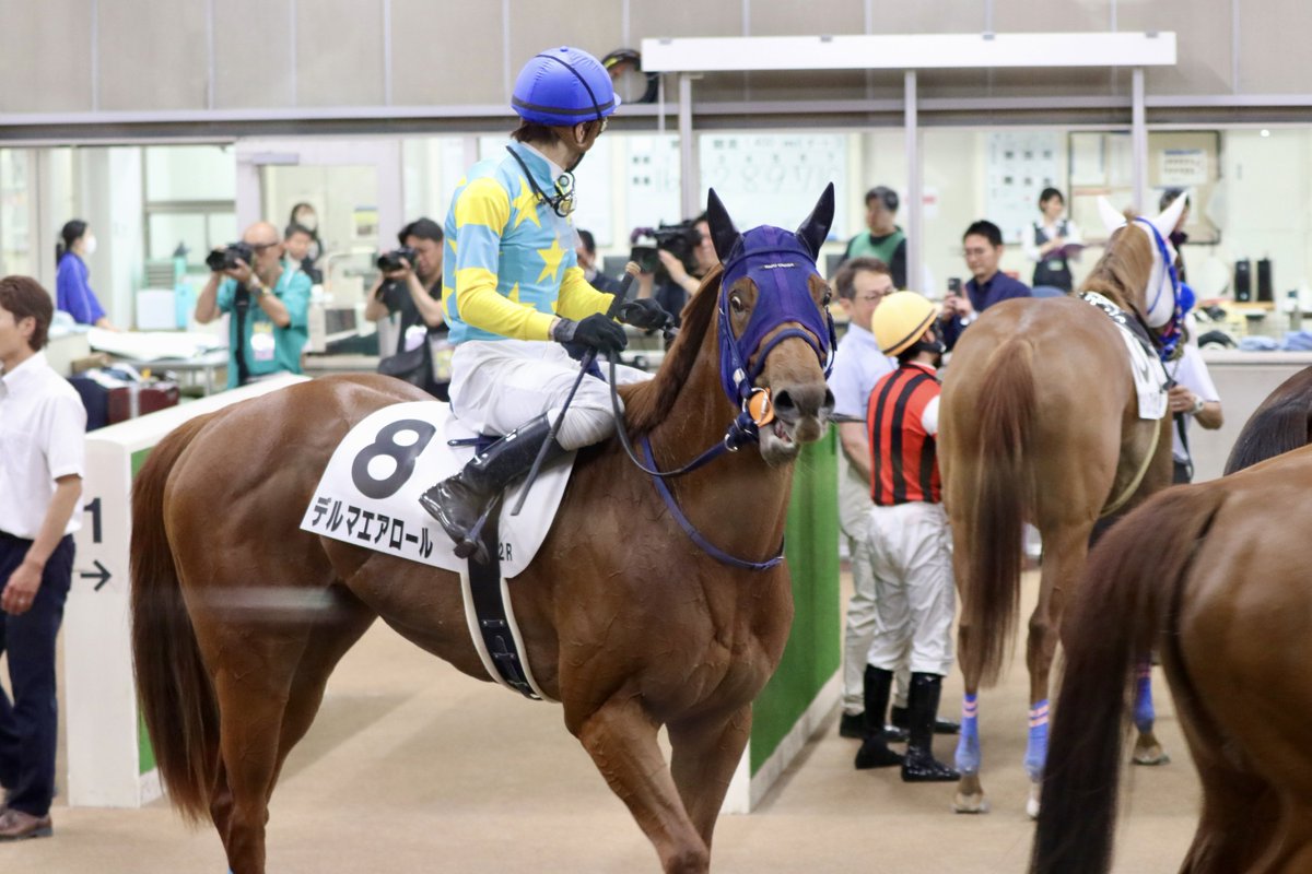 デルマエアロール、パドック外めを活気感じる歩様。馬場入り石橋脩J腰を上げて息合わせからスムーズに返し馬へ。先団を見る位置、直線は内で食い下がり抜かれるも盛り返して4着。
大和田成厩舎、社台ファームさん
父マインドユアビスケッツ🍀
メープルリキュール産駒🍀
#オルフェーヴル産駒🍀
2025.6.7