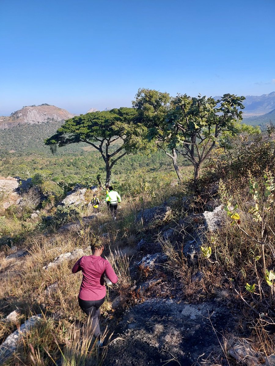 YayaAkonda's tweet photo. My second trail for for the year...The perfect way to connect with nature.❤️
#IPaintedMyRun 
#FetchYourBody2025 
#RunWhenYouCan https://t.co/auIbOxW4Fm