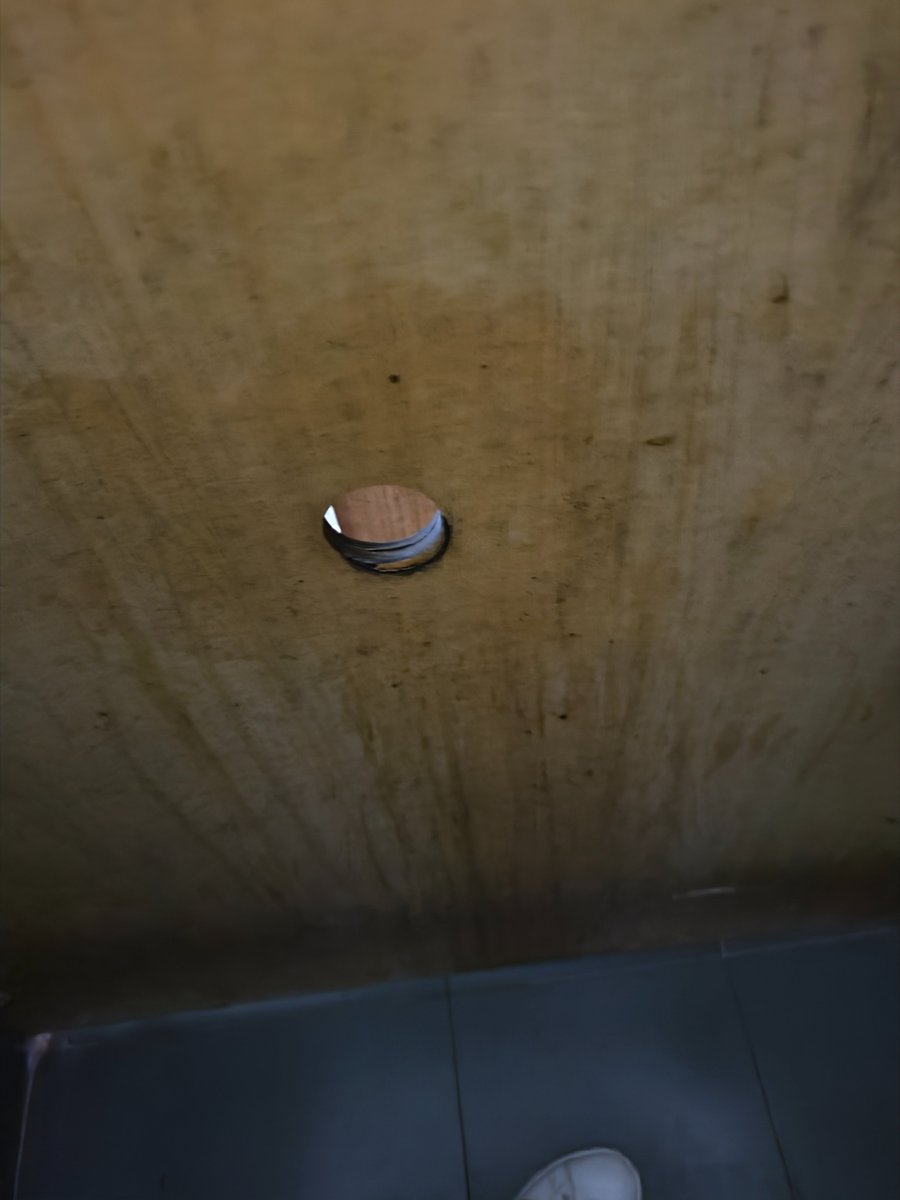 评论区看看有多少人知道这鸟洞位置？