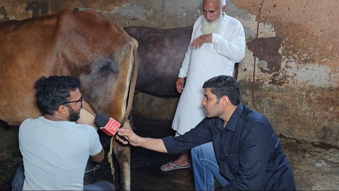 WasimAkramTyagi's tweet photo. ये मोहम्मद सगीर हैं। दिल्ली के खजूरी इलाक़े में डेयरी चलाते हैं। ईद उल अज़हा के मौक़े पर सुदर्शन के सु-R ने इनकी डेयरी का एक वीडियो नफ़रती दावे के साथ किया, उस वीडियो को नफ़रती कपिल मिश्रा ने भी पोस्ट किया। @DelhiPolice ने नफरती तत्वों के तमाम दावों को खारिज कर दिया। उधर @OnlineNewsIndi1 के पत्रकार @dharmender_sgh मोहम्मद सगीर की डेयरी पहुंच गए और दूध का दूध पानी का पानी कर दिया। अब सवाल यह है कि नफ़रती @KumaarSaagar और @KapilMishra_IND को @CPDelhi की पुलिस कब गिरफ्तार करेगी? इन नफ़रती लफांडरुओं ने नफ़रत फैलाकर सामाजिक सौहार्द की ऐसी तैसी करने का षडयंत्र किया है।