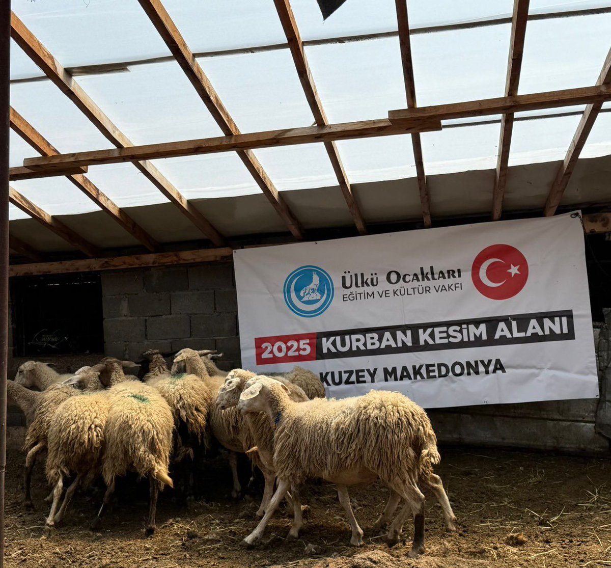 ayyildirim1's tweet photo. 📍TÜRK DÜNYASI

Ülkü Ocakları ve Avrupa Türk Konfederasyonu üzerinden bağışlanan kurbanların kesimleri Kırgızistan, Kazakistan, Kuzey Makedonya, Dağıstan���da tamamlanarak Kurban Bayramımızın birinci ve ikinci günü olmak üzere dağıtımları gerçekleştirildi. https://t.co/BCRPwAFEzm