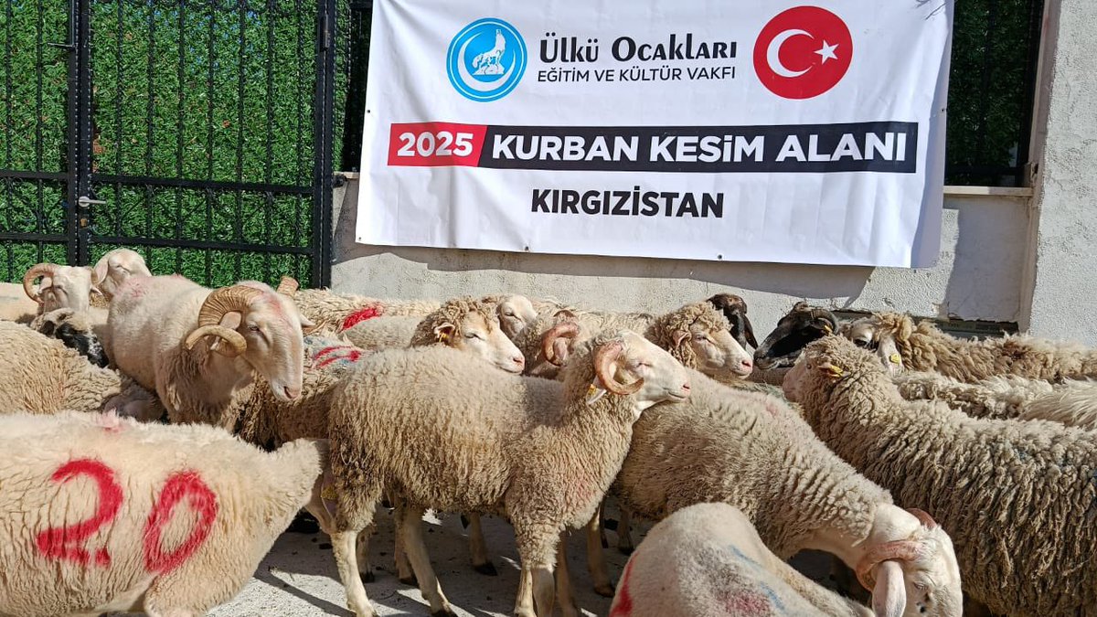 ayyildirim1's tweet photo. 📍TÜRK DÜNYASI

Ülkü Ocakları ve Avrupa Türk Konfederasyonu üzerinden bağışlanan kurbanların kesimleri Kırgızistan, Kazakistan, Kuzey Makedonya, Dağıstan���da tamamlanarak Kurban Bayramımızın birinci ve ikinci günü olmak üzere dağıtımları gerçekleştirildi. https://t.co/BCRPwAFEzm