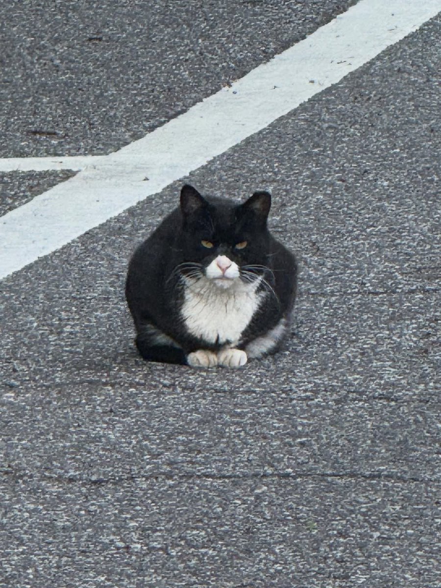 aku udah bingung mau bilang dia ganteng dengan cara apa lagi yang pasti ganteng banget!!!!