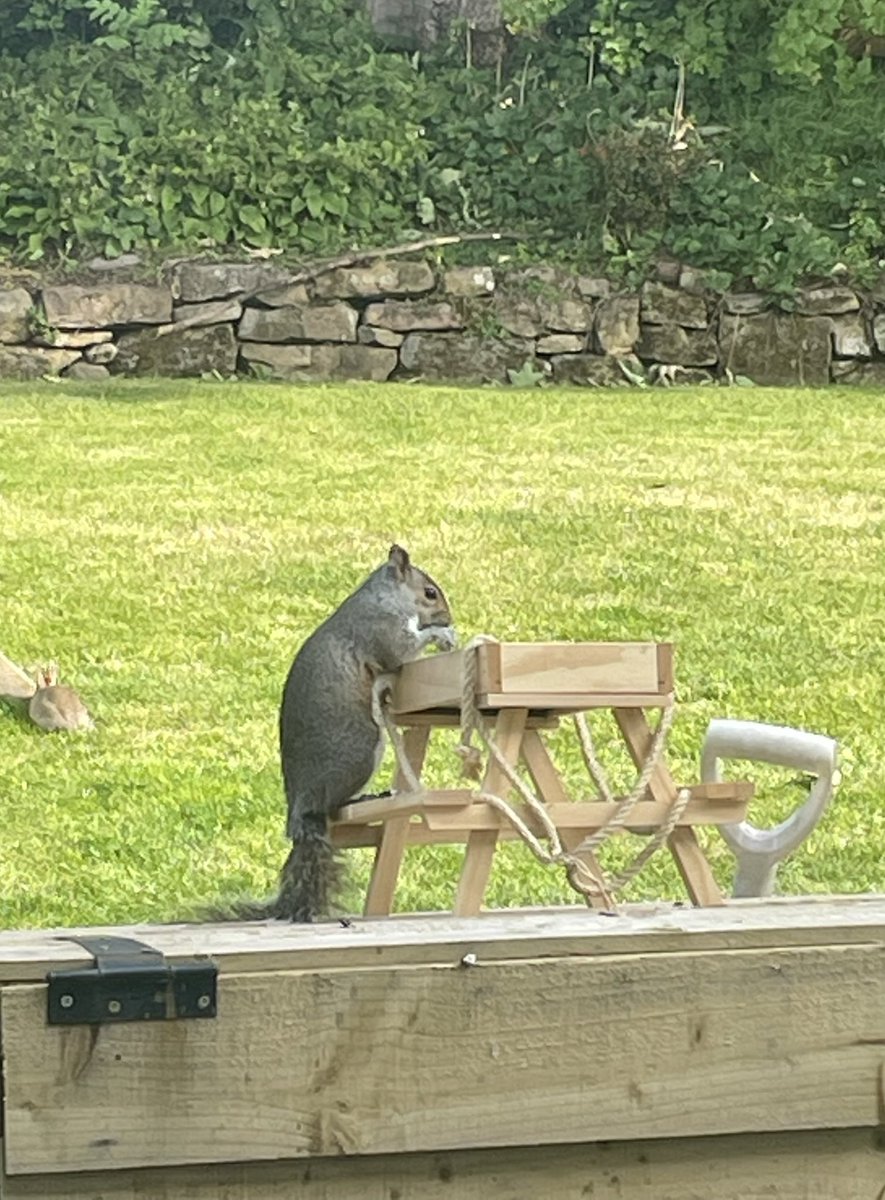 Bartholomew al-Būtsī tweet media