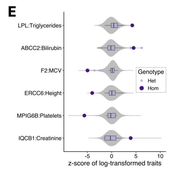 joe_pickrell's tweet image. Interesting analysis of 'human knockouts' in a south Asian population
"Exome sequencing and analysis of 44,028 British South Asians enriched for high autozygosity" medrxiv.org/content/10.110…