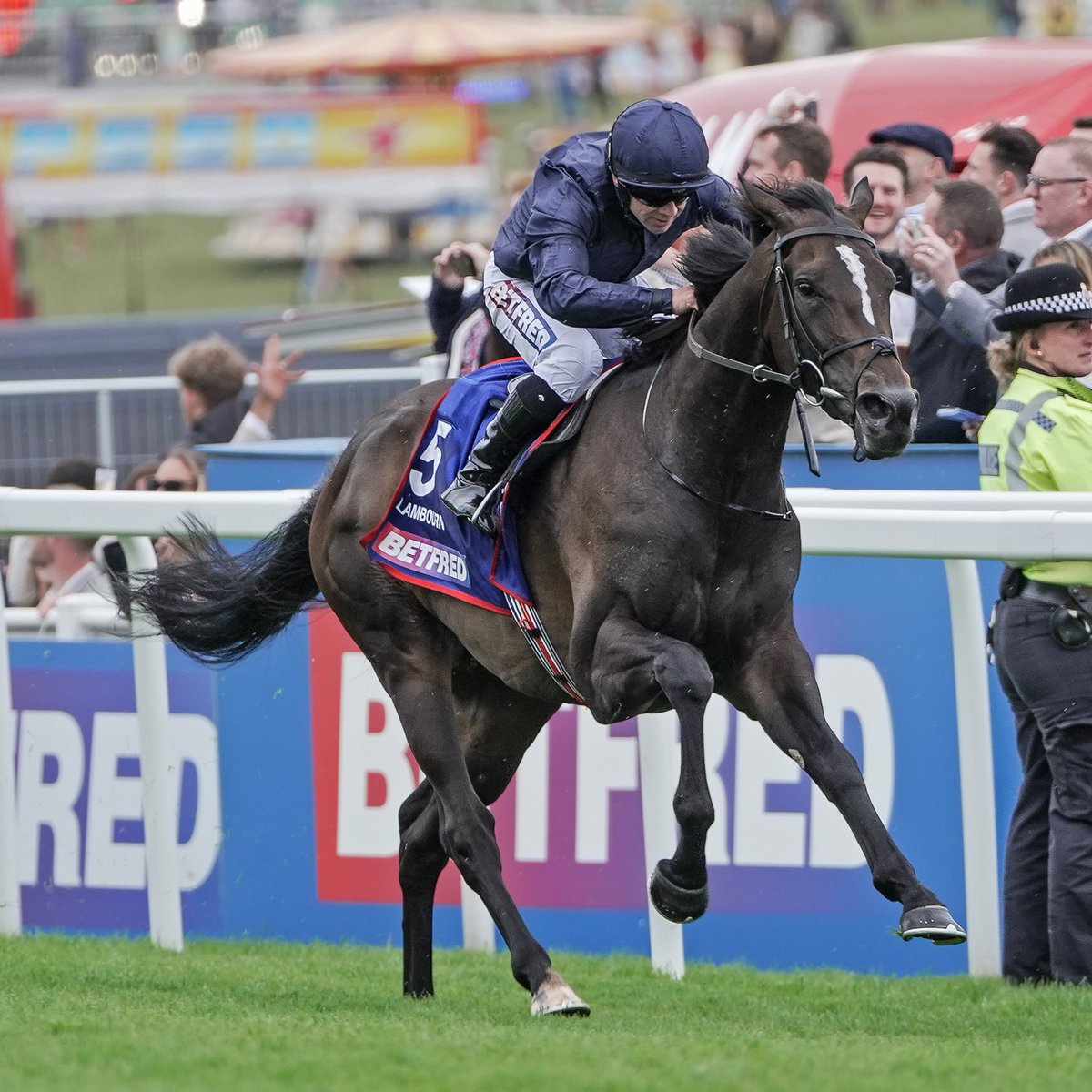 International Thoroughbred (@interthorough) on Twitter photo Lambourn is a 1st <a href="/EpsomRacecourse/">Epsom Downs Racecourse</a> Classic winner for <a href="/coolmorestud/">Coolmore</a>'s 14yo sire Australia, now the sire of 6 G1 wnrs
Australia was wnr of the 🇬🇧 & 🇮🇪 Derbys in 2014 & his progeny average winning distance is 10.24f (<a href="/weatherbysltd/">Weatherbys Limited</a> Global Stallion App) and his fee was just €10k Lambourn is a 1st <a href="/EpsomRacecourse/">Epsom Downs Racecourse</a> Classic winner for <a href="/coolmorestud/">Coolmore</a>'s 14yo sire Australia, now the sire of 6 G1 wnrs
Australia was wnr of the 🇬🇧 & 🇮🇪 Derbys in 2014 & his progeny average winning distance is 10.24f (<a href="/weatherbysltd/">Weatherbys Limited</a> Global Stallion App) and his fee was just €10k