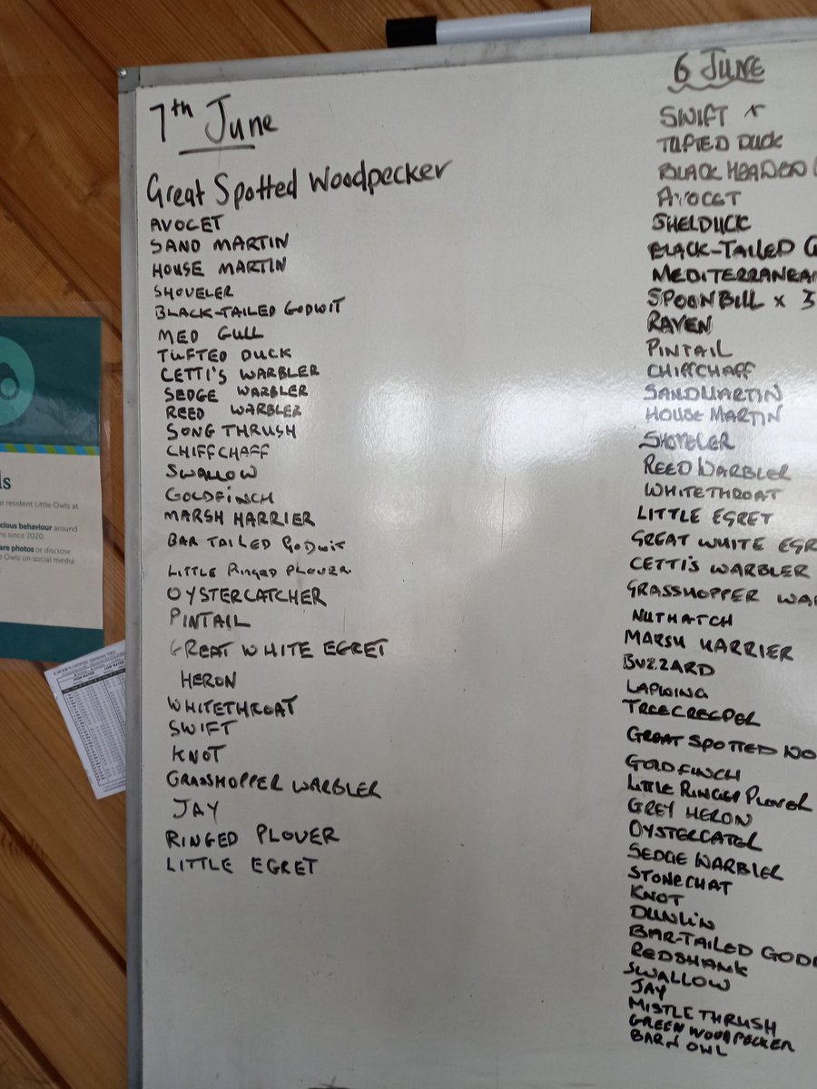 After a very wet day, many warblers heard including grasshopper warbler and a ringed plover on the scrape. Marsh harriers seen throughout the day. Looking forward to another day tomorrow.