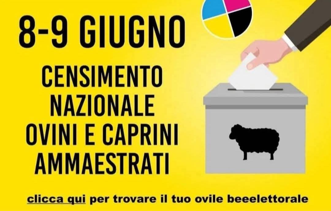 100% italiano (@futuristacpi) on Twitter photo 