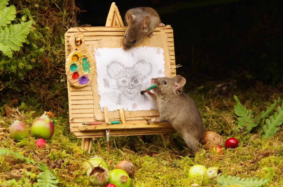 simon_dell_tog's tweet photo. The Mouse Artist  busy at work .
.
.
#miceartist #painting #rodents #doingart #mice #mousevillagecreator #simondell #copyrightprotected 📷 https://t.co/2dOuQZiZVr