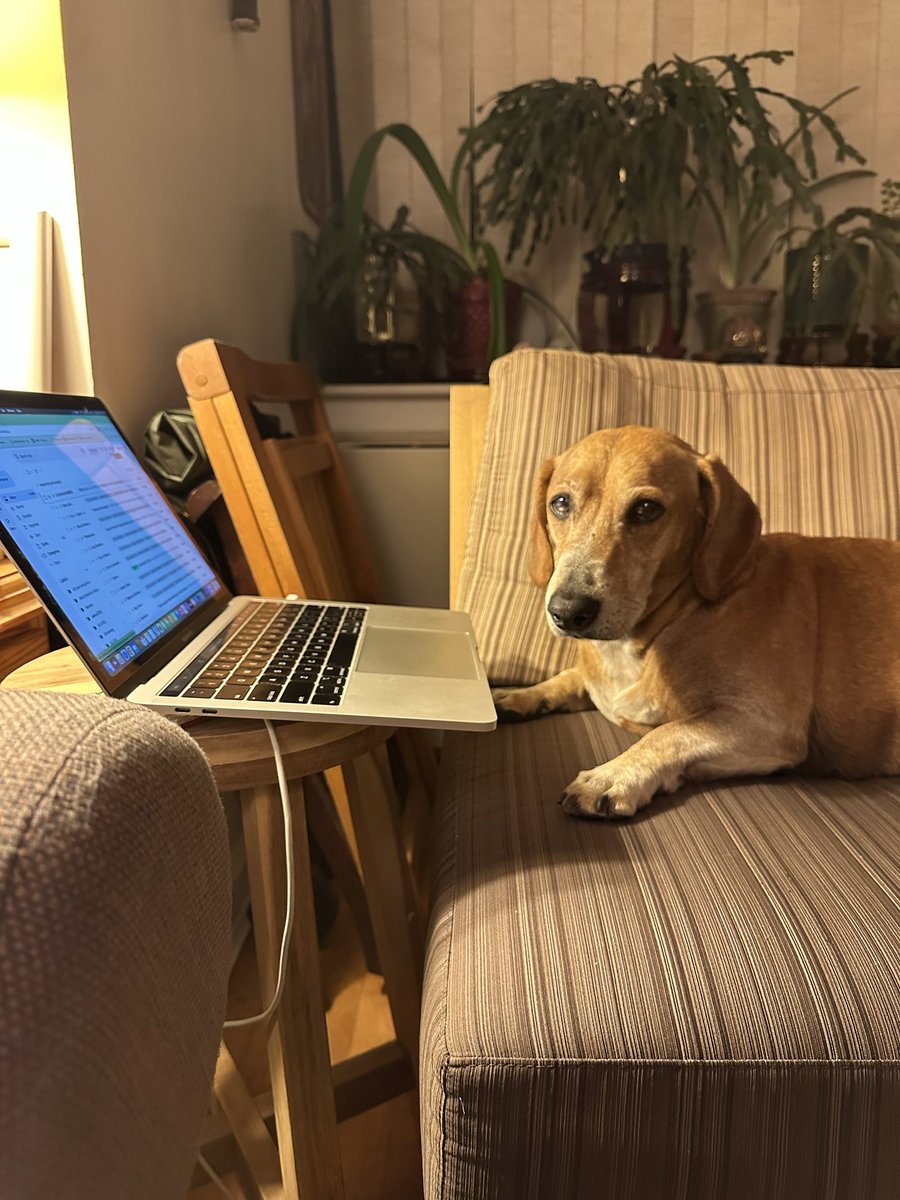 wade lambert (@wadenyc) on Twitter photo 