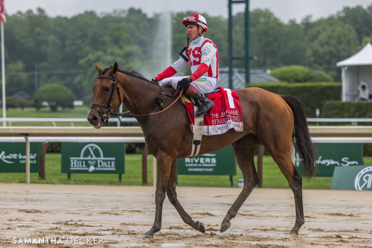 Samantha Decker (she/her) π· (@sdeckerphoto) on Twitter photo From yesterday: <a href="/DavisJockey/">Dylan Davis πΊπΈππ</a> snagged a second Grade I win in the day with Dynamic Pricing in the Just A Game Stakes.
Shot for the <a href="/saratogaspecial/">The Saratoga Special</a> From yesterday: <a href="/DavisJockey/">Dylan Davis πΊπΈππ</a> snagged a second Grade I win in the day with Dynamic Pricing in the Just A Game Stakes.
Shot for the <a href="/saratogaspecial/">The Saratoga Special</a>