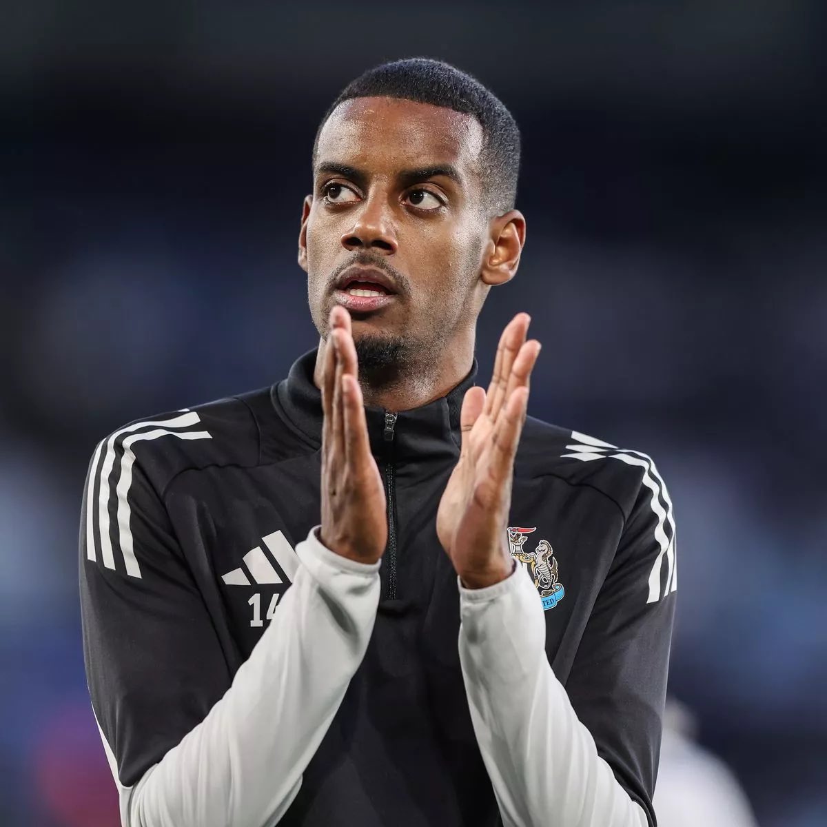 𝗔𝗡𝗙𝗜𝗘𝗟𝗗 𝗙𝗢𝗥𝗚𝗘 ⚡︎ tweet media