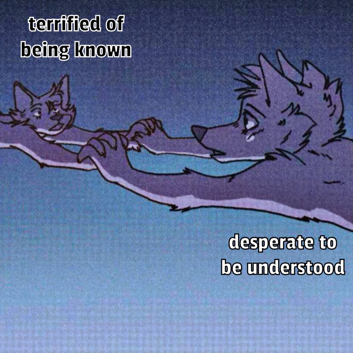 blaze_the_foxx's tweet photo. https://t.co/jXd7pTQMoq