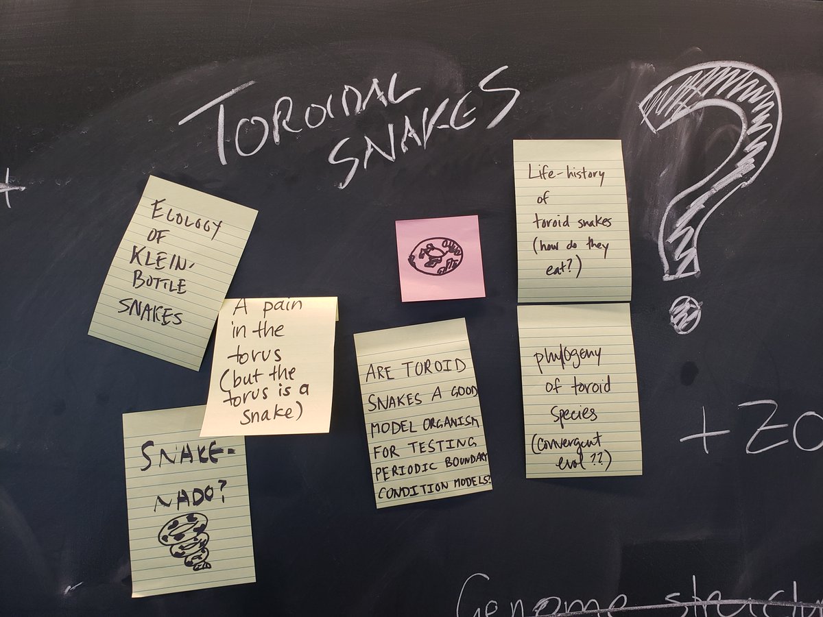 Anuraag Bukkuri (@evo_eco_onco) on Twitter photo Had a blast at the annual SMTPB meeting <a href="/NITMB_Chicago/">NSF-Simons NITMB</a>! Thoroughly enjoyed sharing my work on cancer evolutionary ecology, connecting with old and new theory colleagues, and of course discussing toroidal snakes ;) Had a blast at the annual SMTPB meeting <a href="/NITMB_Chicago/">NSF-Simons NITMB</a>! Thoroughly enjoyed sharing my work on cancer evolutionary ecology, connecting with old and new theory colleagues, and of course discussing toroidal snakes ;)