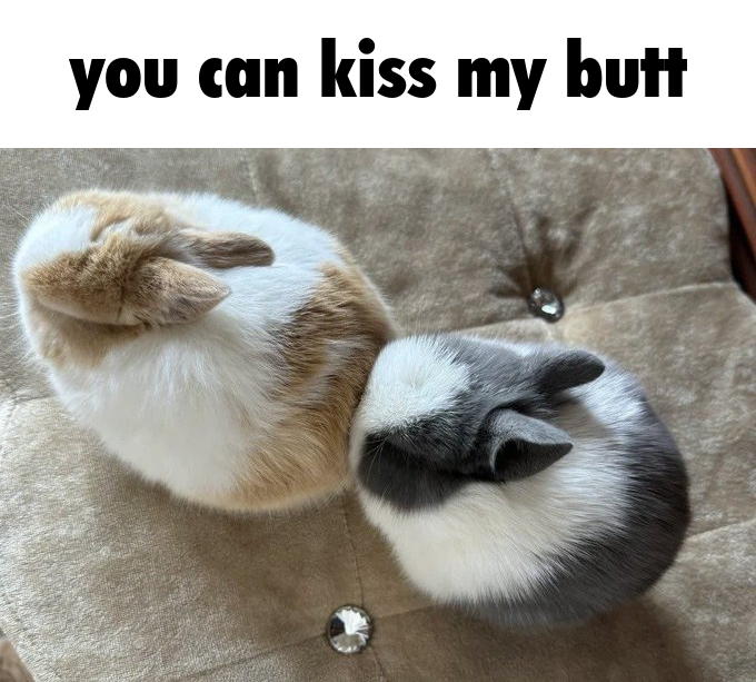 bnu 🐇🍓 (@bunnyluvr__) on Twitter photo 