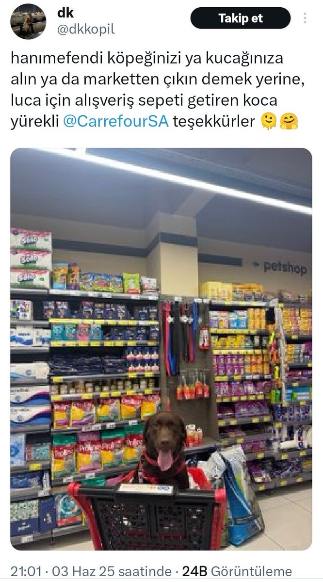 Ayaz Kadirhan Ulubey tweet media