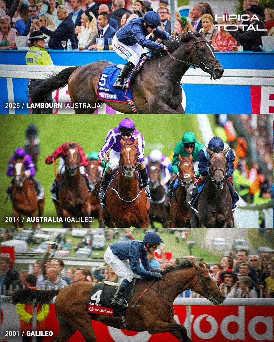 AIDAN O'BRIEN, THAT'S THE TWEET ❤️