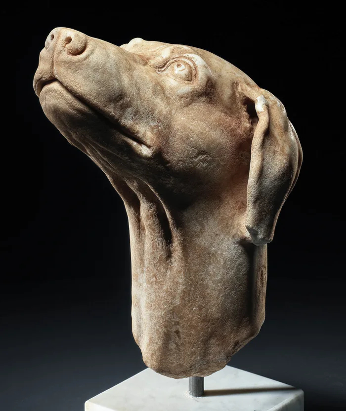 Marble sculpture of a dog, Roman period, 2nd century AD. Private Collection / Bonhams.