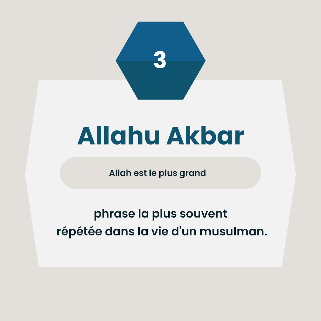 Newmuslimacade1's tweet image. 𝗟𝗲𝘀 𝗣𝗮𝗿𝗼𝗹𝗲𝘀 𝗣𝘂𝗶𝘀𝘀𝗮𝗻𝘁𝗲𝘀 𝗽𝗼𝘂𝗿 𝗲́𝘃𝗼𝗾𝘂𝗲𝗿 𝗔𝗹𝗹𝗮𝗵 𝗲𝘁 𝗟𝗲 𝗴𝗹𝗼𝗿𝗶𝗳𝗶𝗲𝗿 𝗽𝗮𝗿 𝗱𝗲𝘀 𝗹𝗼𝘂𝗮𝗻𝗴𝗲𝘀.

On loue Sa Grandeur, Sa Puissance, Il est Le Plus Grand.

#AidMoubarek #louangesàAllah #AllahuAkbar #newmuslimacademy #évocation #islam #co