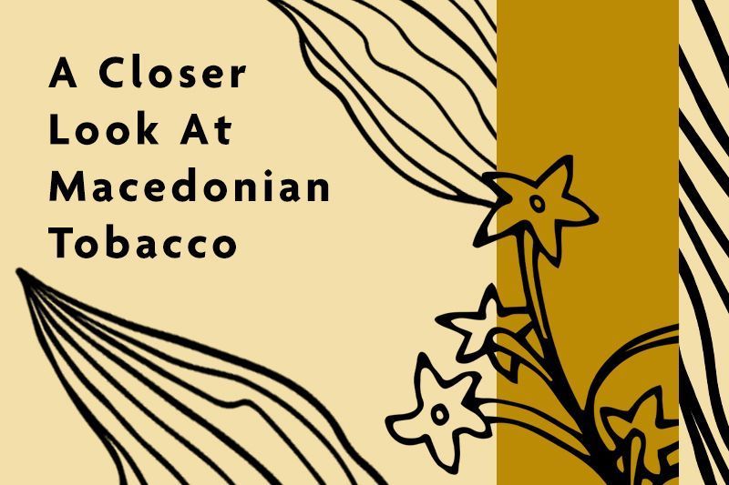 A Closer Look At Macedonian Tobacco.
Learn More: smokingpip.es/3HHUAbk

#SmokingPipes #SpcDailyReader #PipeSmokingCommunity #PipeSmokers #TobaccoPipes #PipeTobacco #PipeCommunity