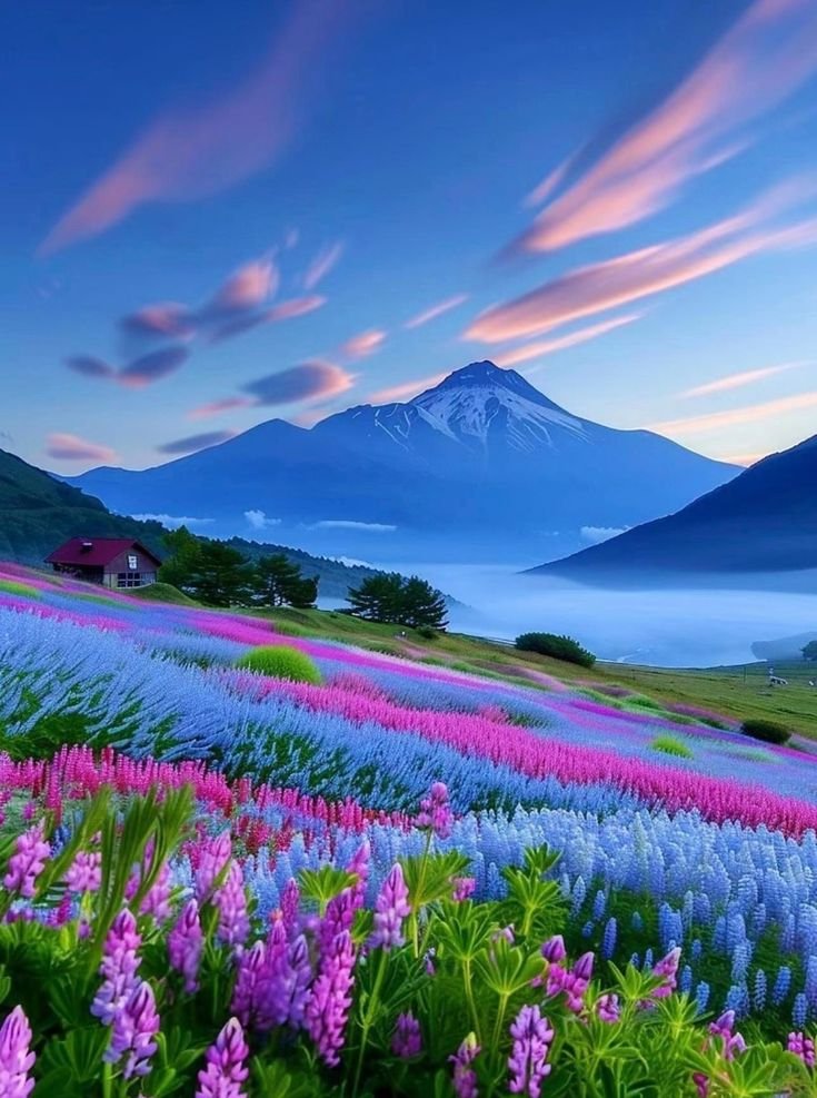 Good evening 💫💙💛💙💫