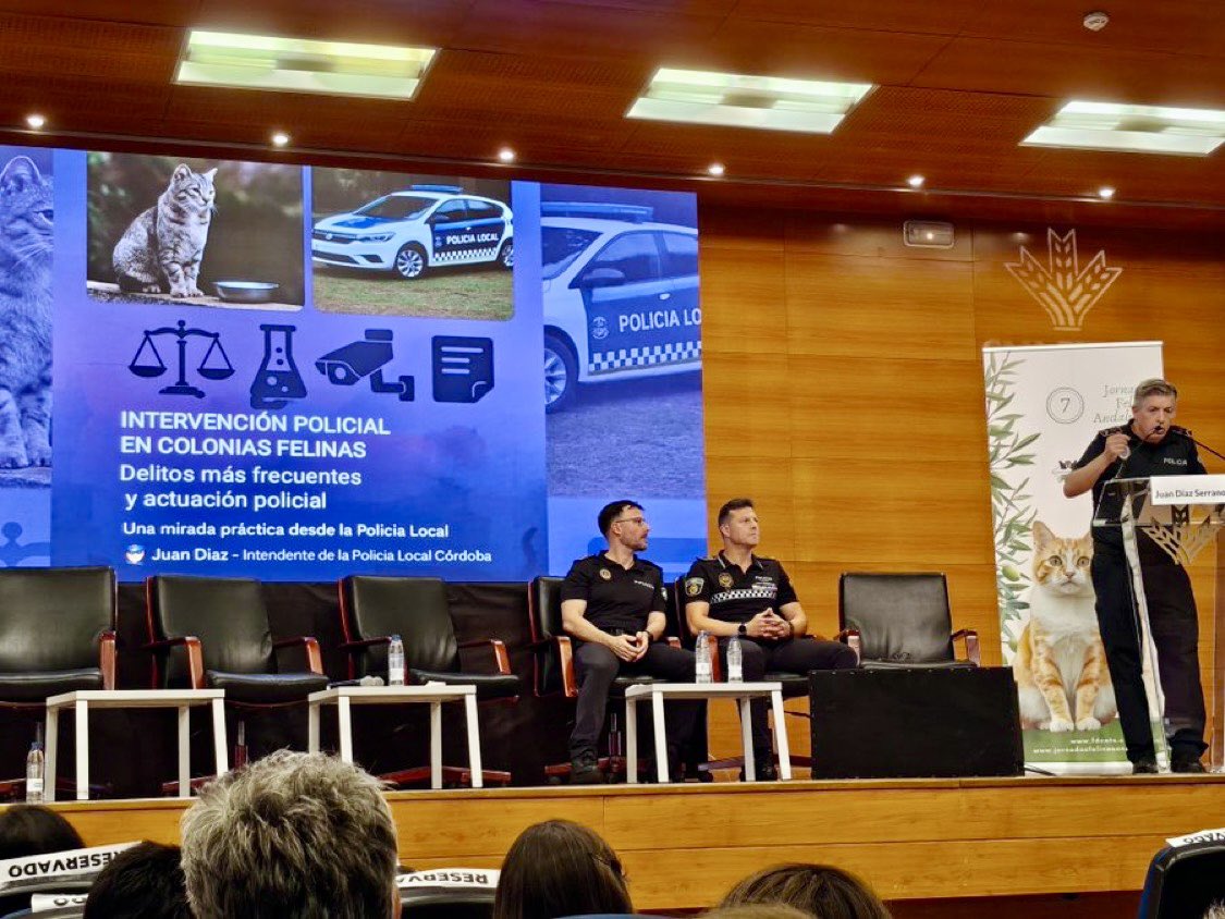 enGatadas tweet media