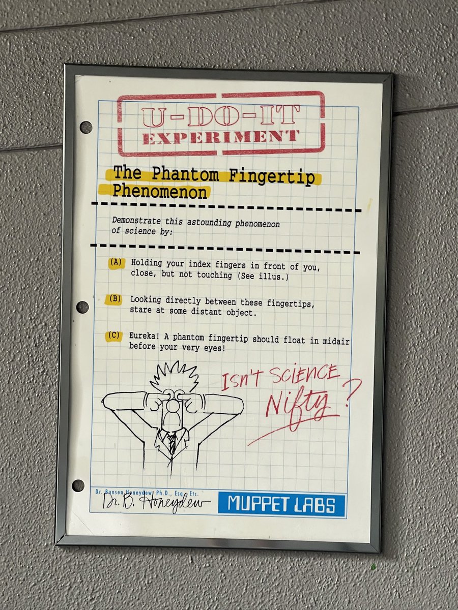 Muppet*Vision 3D extended queue appreciation post 💕