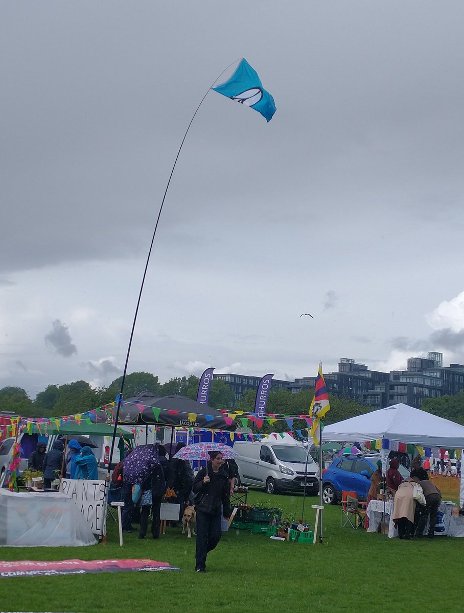 Edinburgh CND 'plants for peace' &amp; Edinburgh Climate Coalition, a wet Meadows Festival.  Thanks to Malcolm&amp;Helen back again tomorrow with more plants. #tpnw #Climate