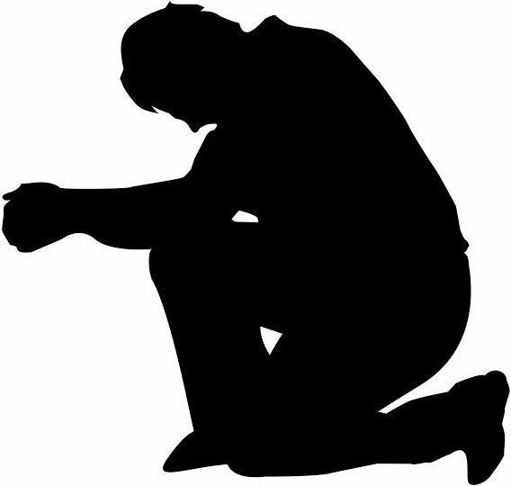 gil 🧣 tweet media