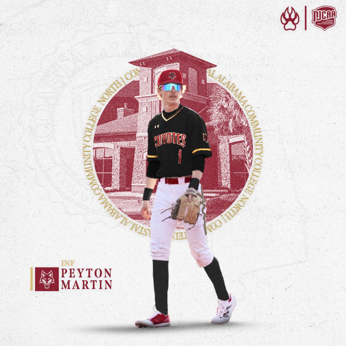 Peyton Martin tweet media