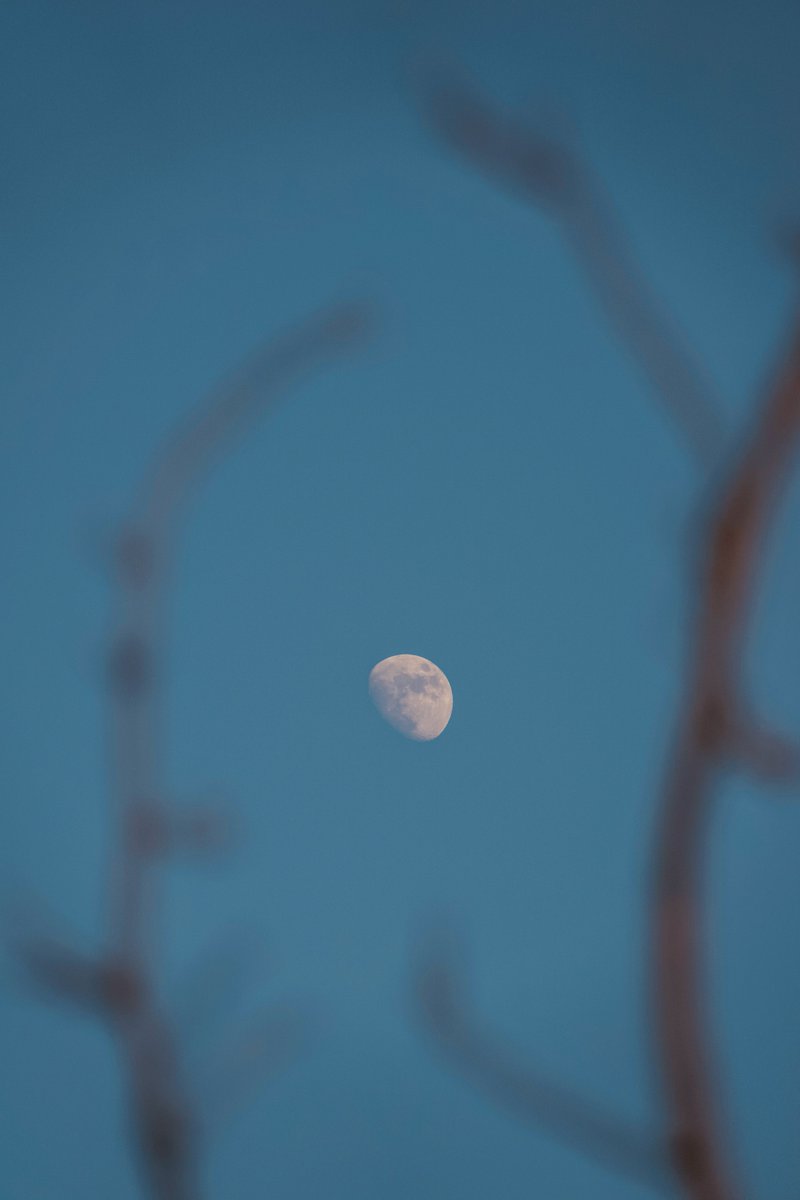 Akşam 🌖