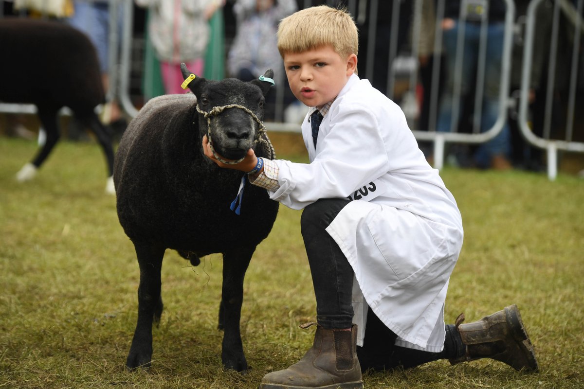 ***REMINDER***

Entries for Sheep, Beef Cattle &amp; Wool classes at the Great Yorkshire Show (8-11 July 2025) are due to close at 11.59pm on Thursday 12 June. Schedules and entry forms are available on our website - greatyorkshireshow.co.uk/entry-forms-an…