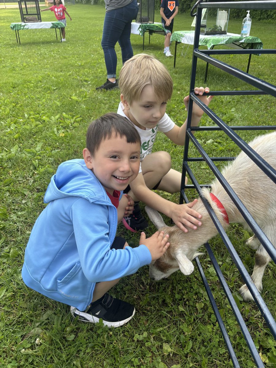 Shannon O'Shea tweet media