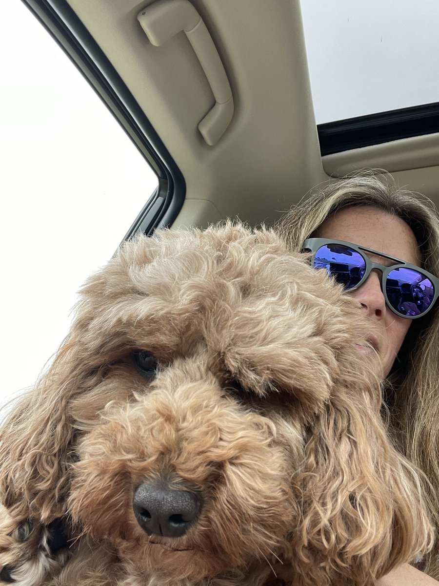 Dolly enjoyed the breakout rooms today and is currently looking for her Oprah! <a href="/F4Leaders/">Unsupervised Leadership</a>