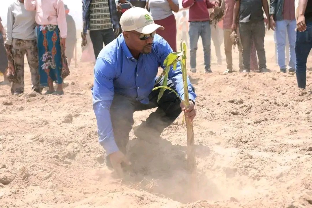 AmboBloggers's tweet image. The Vice Presidential Level Coordinator of the Oromia Rural Cluster, Mr. Addisuu Araggaa, launched the Urban Banana Development Initiative in Batu Town.