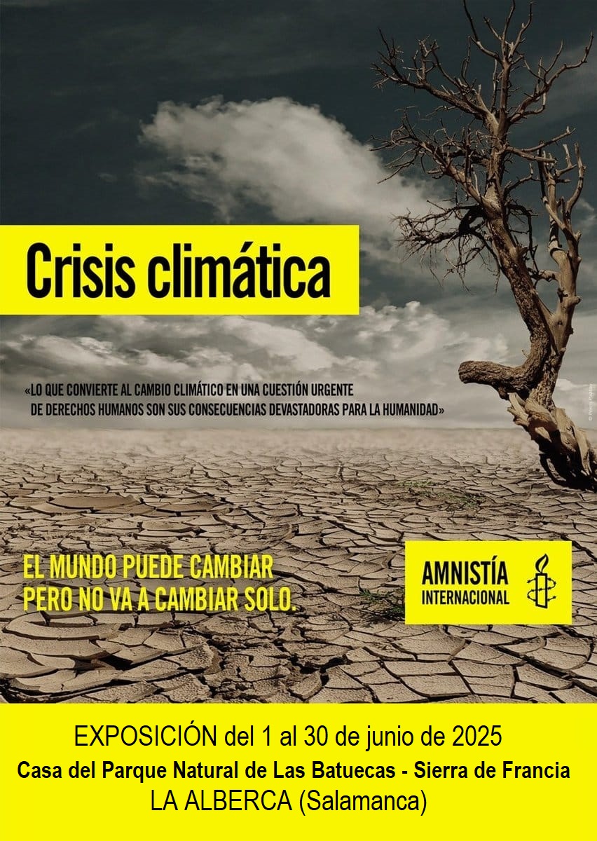 Amnistía Internacional Castilla y León tweet media
