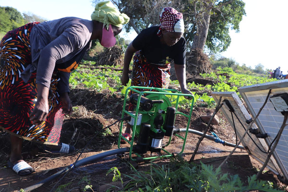 ADPP Mozambique Farmers’ Clubs in Mocuba organises farmers into clubs, where they learn &amp; share experiences about conservation farming. This helps safeguard the environment, ensure that farmers can produce sufficient nutritious food for their families &amp; create sustainable future