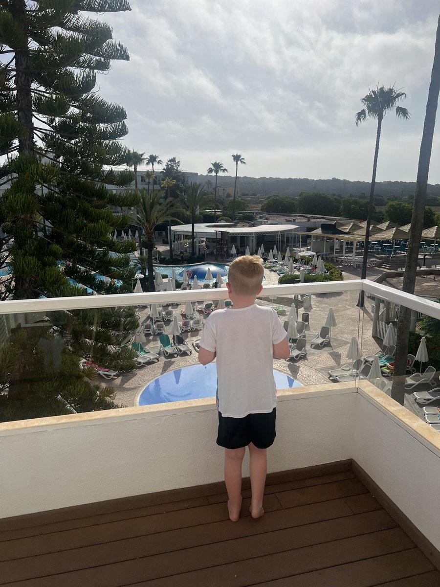 Living his best life, Mini Geck on his first ever holiday abroad.

Glad to be home but what a great week away, amazing memories 🦎🙌