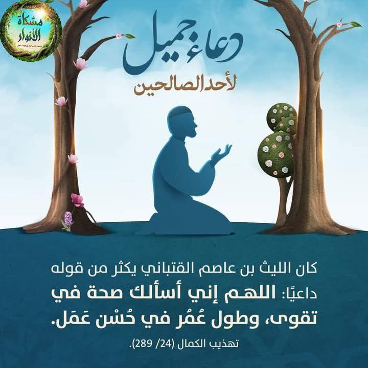 Sarah_ alyousef tweet media