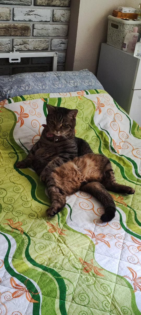 zeytineylem's tweet image. Oturuyos heyalde çime bakmıçtınız