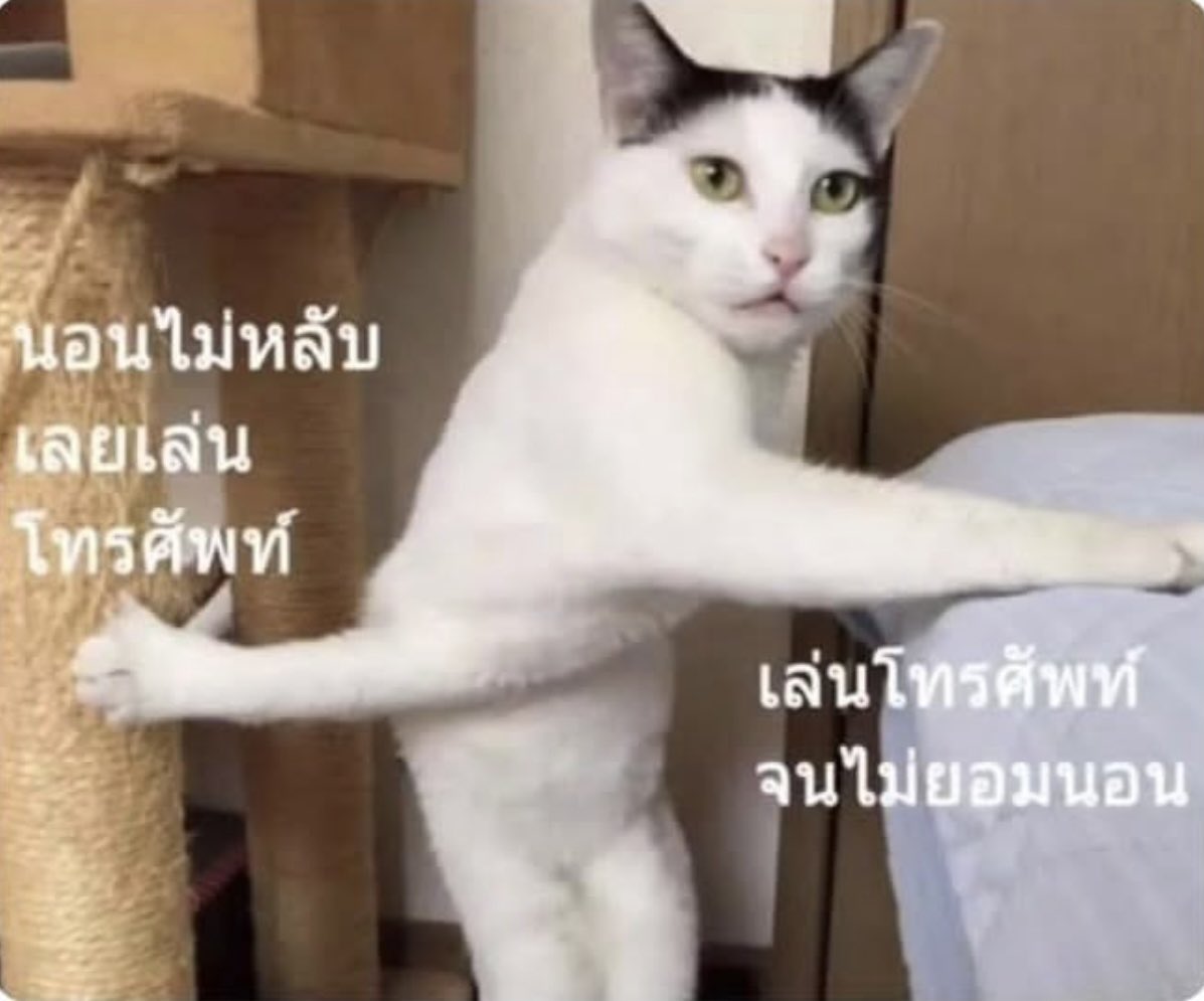 ชีวิตกุเป็นแบบนี้เลย 55555555555555555