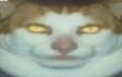 TheDailyCatGuy's tweet image. 