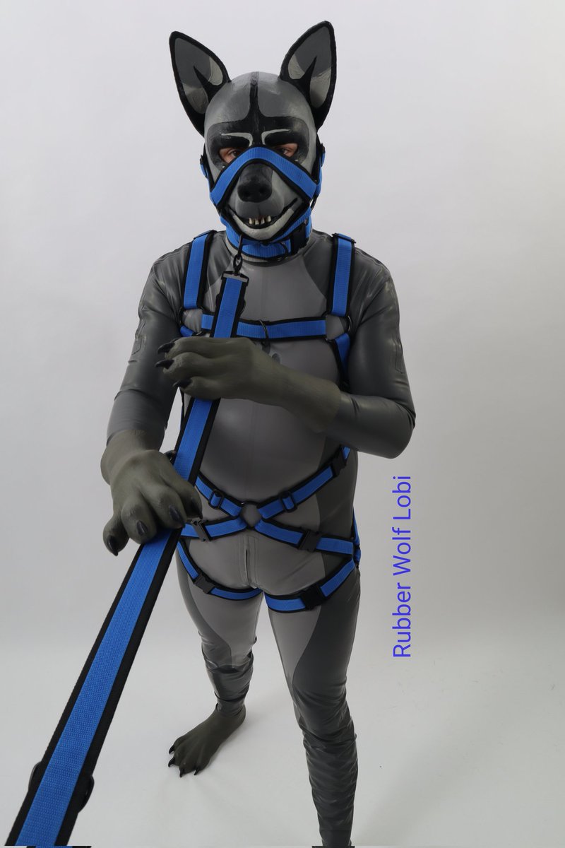 go for a walk?