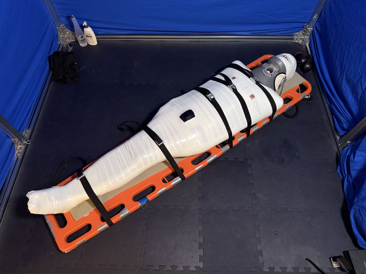 身為國際交流大使的我到韓國沒包具木乃伊說不過去吧？

🫔 <a href="/softofsoft1/">Mummy + Happy = Muppy (머피의 소개용 트위터)</a>