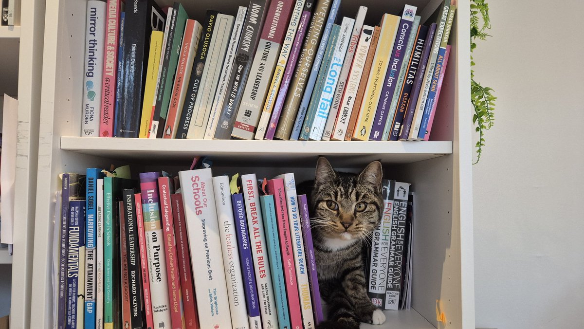 5 stars, instant classic, would recommend. #itsMeatball