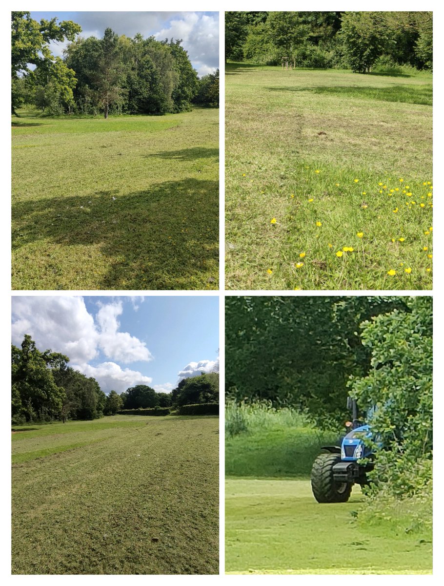 Everybody knows that insects are in decline and all local authorities should, long ago, have dispensed with the archaic bi-monthly mowing of large public areas of grass 🐝 🦋 

Yesterday on the borders of Belvoir forest, one of our small struggling woodlands, <a href="/belfastcc/">Belfast City Council</a> sent out