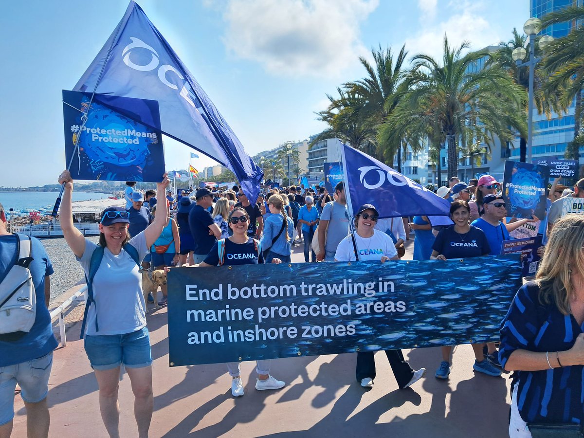Nice is dressed in blue! Just ahead of #UNOC3, the #BlueMarch has filled the streets with a powerful call for effective ocean protection. Oceana staff proudly joined the wave demanding action for our ocean. 🌊💙
#ProtectedMeansProtected

#ProtectedMeansProtected