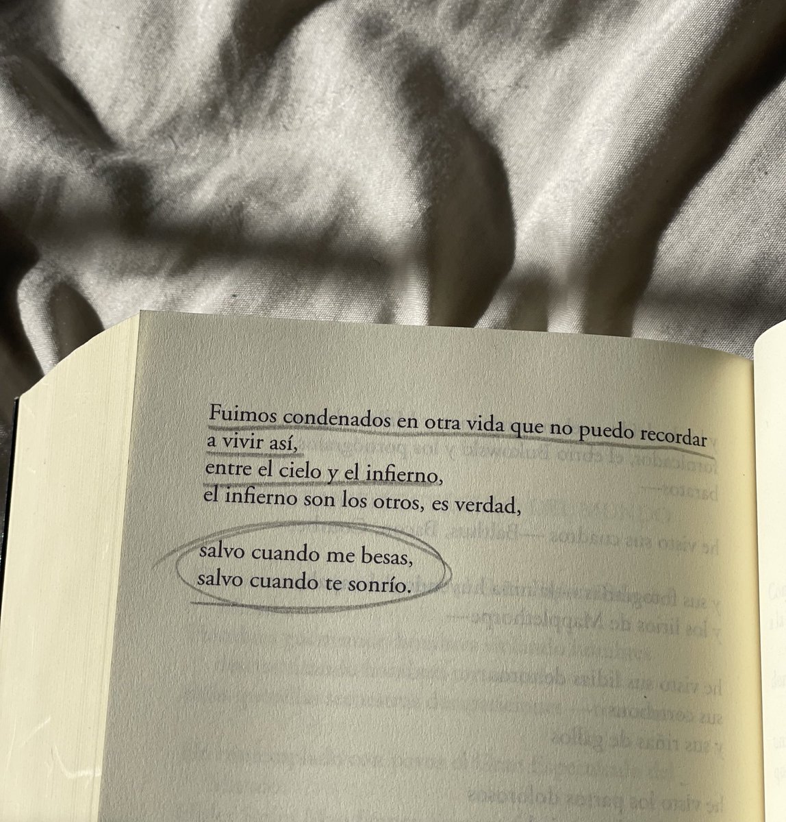 camila mermet tweet media