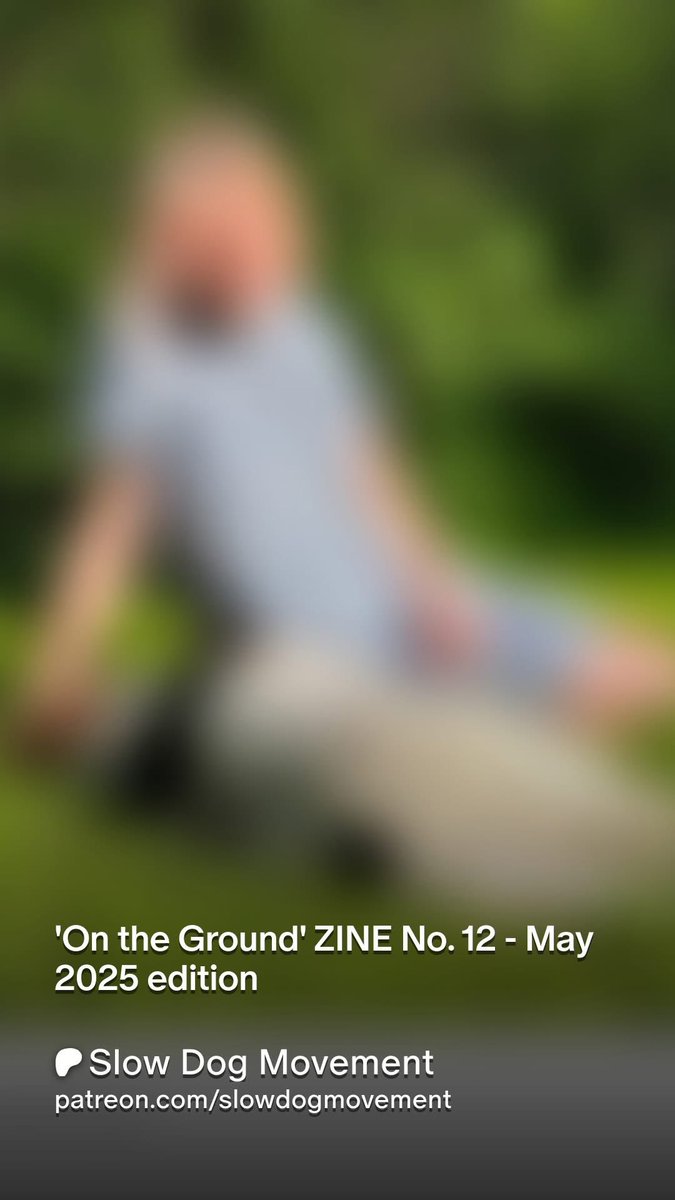 slowdogmovement's tweet photo. Our 'On the Ground' ZINE No. 12 - May 2025 is published

Buy on GUMROAD: https://t.co/eTKuFhKo0T

Buy from our https://t.co/Kr99XDh85a: https://t.co/ygUcoDYgc7

#onthegroundzine #zine #grassroots #dogcommunity #socialenterprise #seuk #cic #codirectors #dogstories #slowdogmovement https://t.co/fIM2M9Pps9