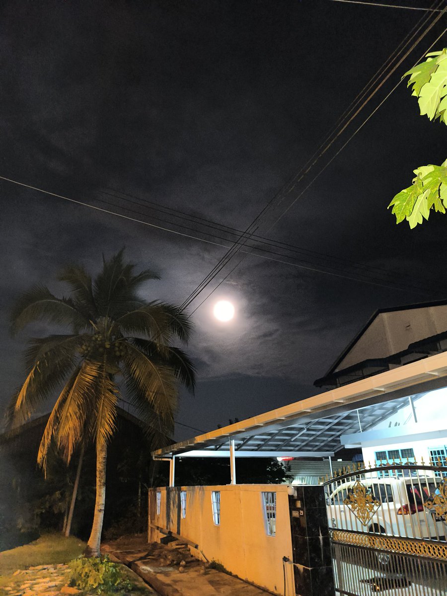 darksecret73281's tweet photo. Full moon.. mana tau kot2 ada serigala betina jadian seksi masuk bilik.. https://t.co/wCpyD64iXh